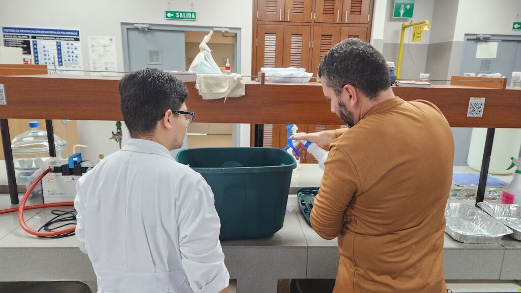 La iniciativa ya se ha presentado en Pérez Zeledón y Buenos Aires, de Puntarenas, cantones donde se produce mayoritariamente piña.