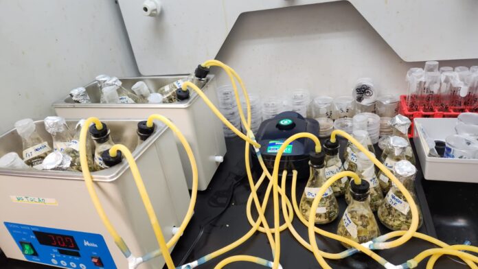 IMG_Prototipo de biorreactor_5