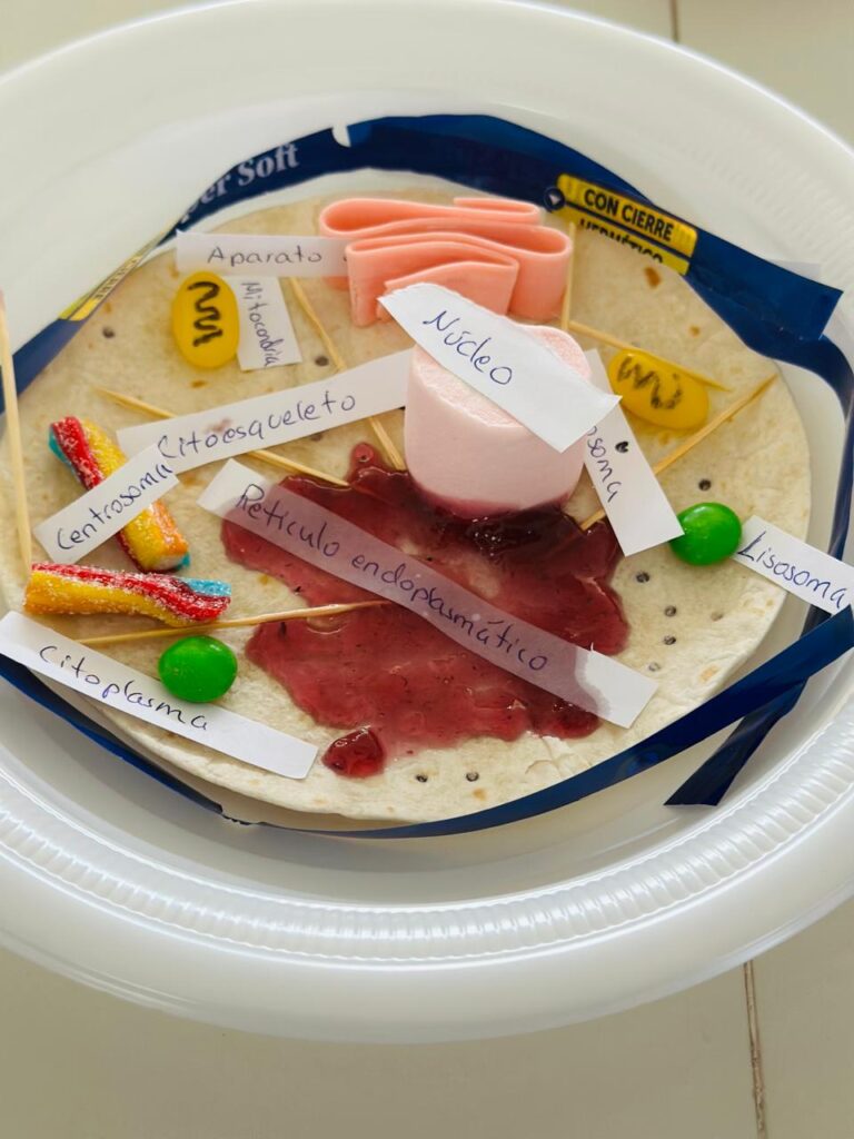 Educadores experimentaron con microscopios digitales y metodologías innovadoras durante la capacitación en Palmares.