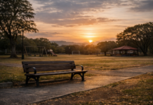 Violencia juvenil refleja patrones normalizados en la sociedad costarricense, alerta UNED