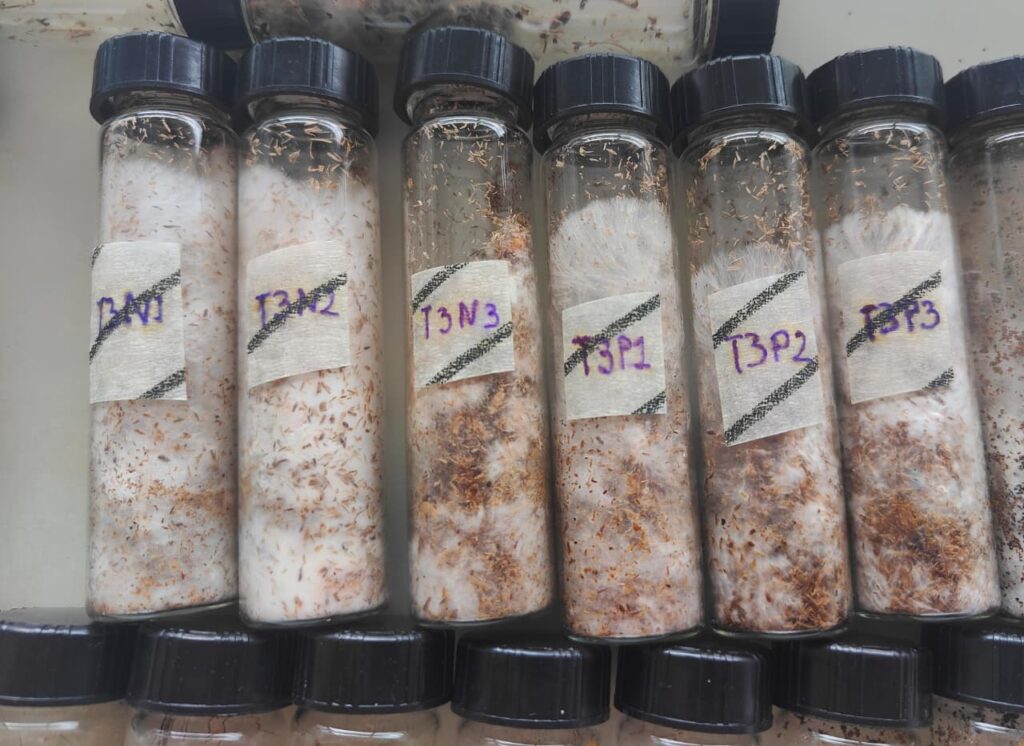 Investigadores de la UNED analizan la composición físico-química de los desechos para garantizar un proceso de fermentación exitoso.