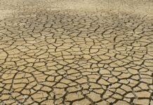 Ante posible impacto de El Niño en 2026, UNED refuerza llamado a la prevención