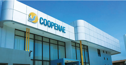La eventual integración de Coopenae y CoopeAnde reabre el análisis sobre los retos que enfrentan las cooperativas para crecer sin perder su esencia social, participación democrática y cercanía con sus asociados.